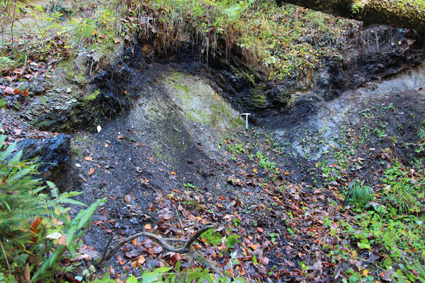 Bergwerk-Koeckergraben_reference